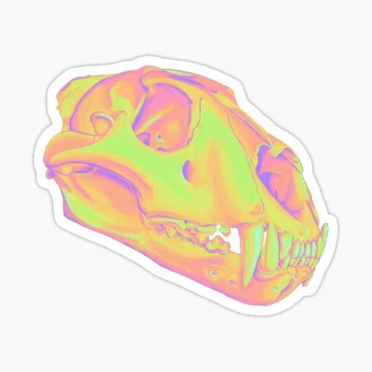 Discover Lion skull