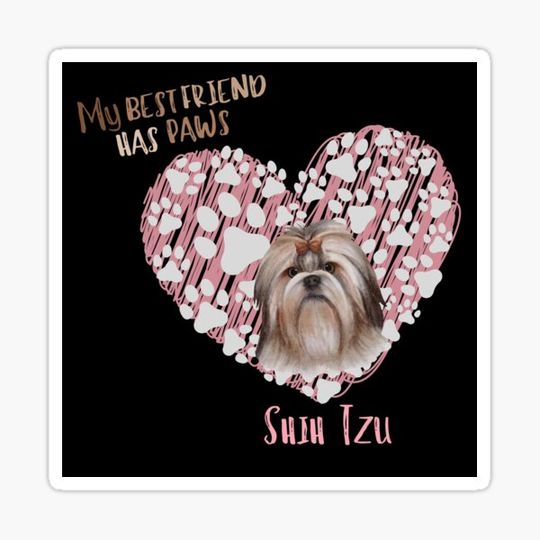 Discover My Best Friend has Paws, Shih Tzu