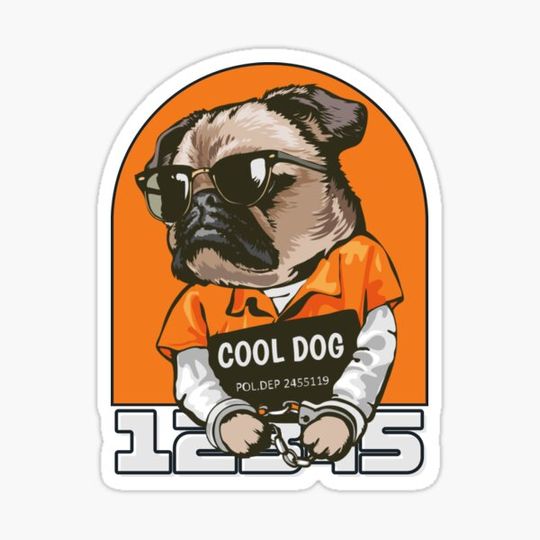 Discover Cool dog