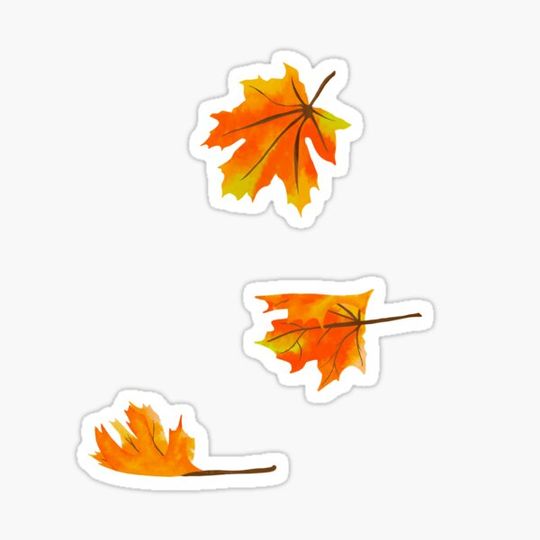 Discover Autumn Leaves