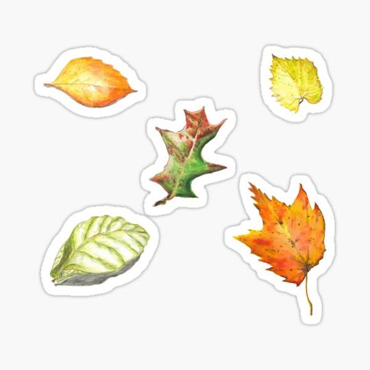 Discover Autumn Leaf Collection ~ Marie's Handmade Art ~ Fall Leaves