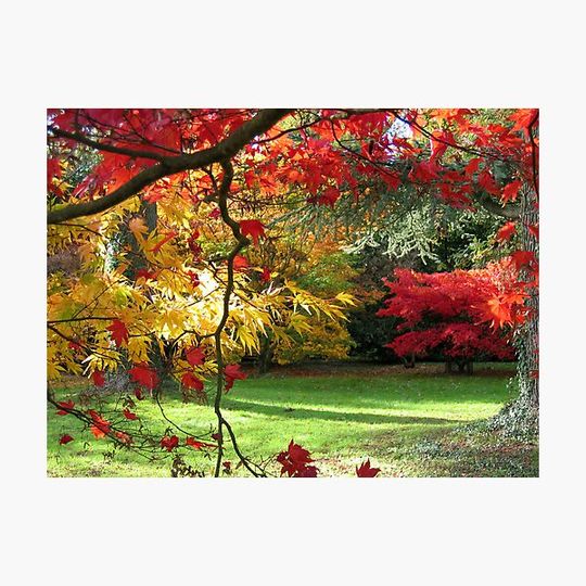 Discover At Westonbirt Arboretum in Autumn