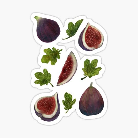 Discover Figs and Leaves