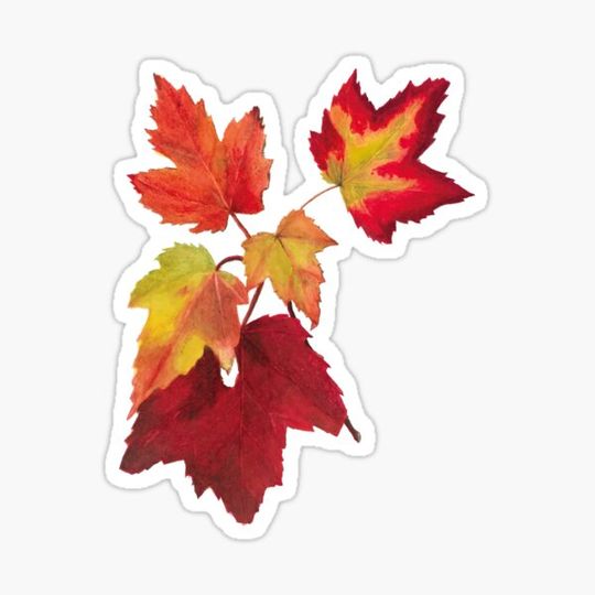 Discover Autumn Leaves Medley