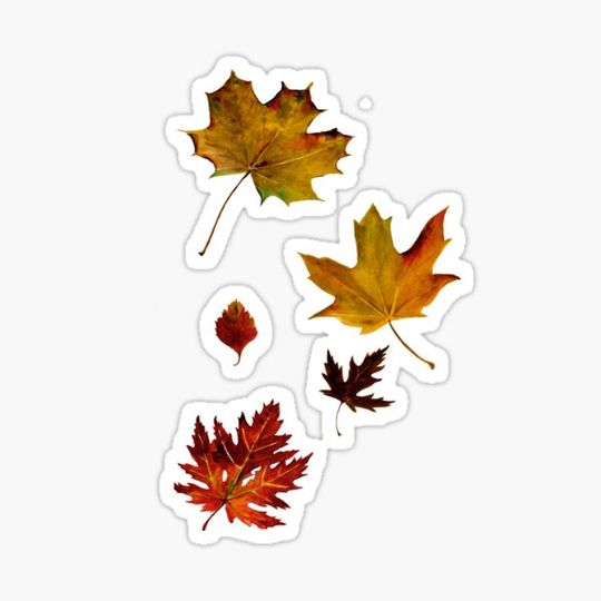 Discover Fall Watercolor Leaves
