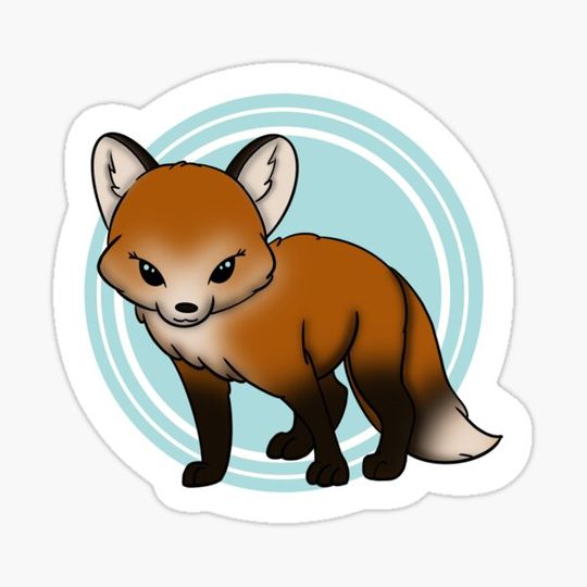Discover Foxy