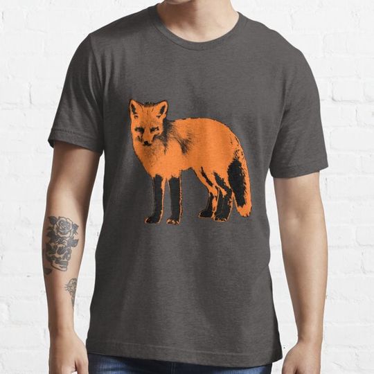 Discover Wild red fox