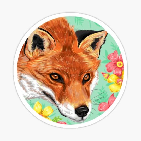 Discover Fox