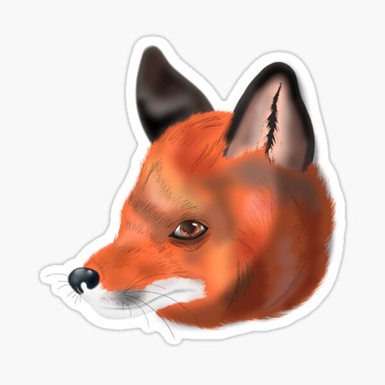 Discover Fox face