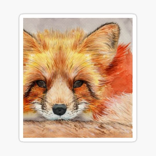 Discover Watercolor illustration of a cute red fox