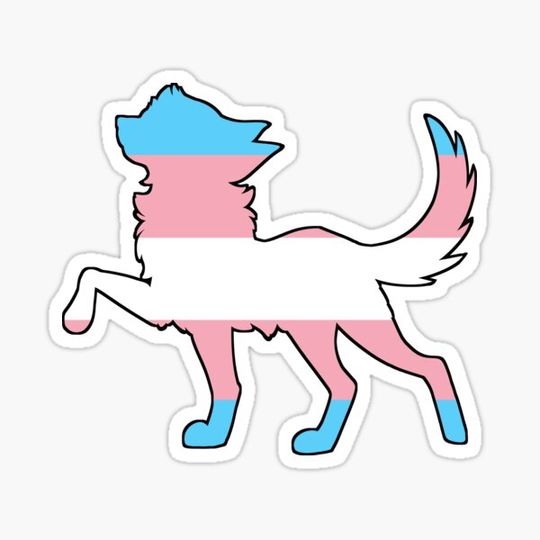 Discover Fluffy - Trans