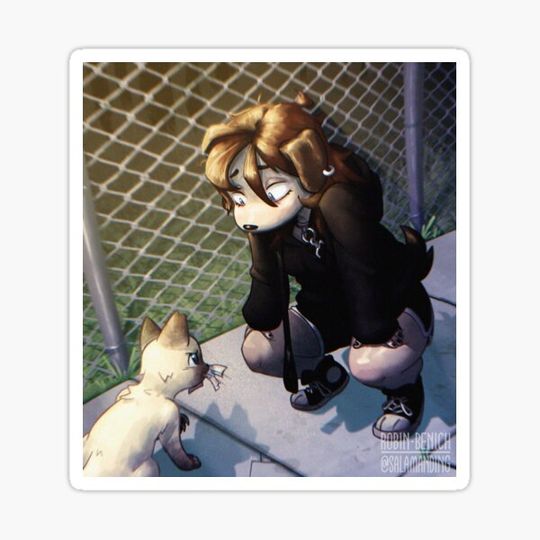 Discover Dog Meets Cat