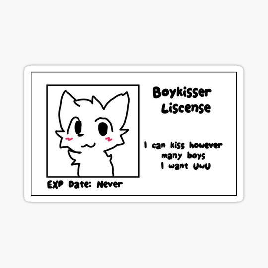 Discover boykisser certification id