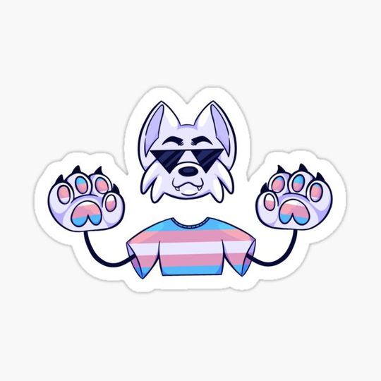Discover Trans kitty