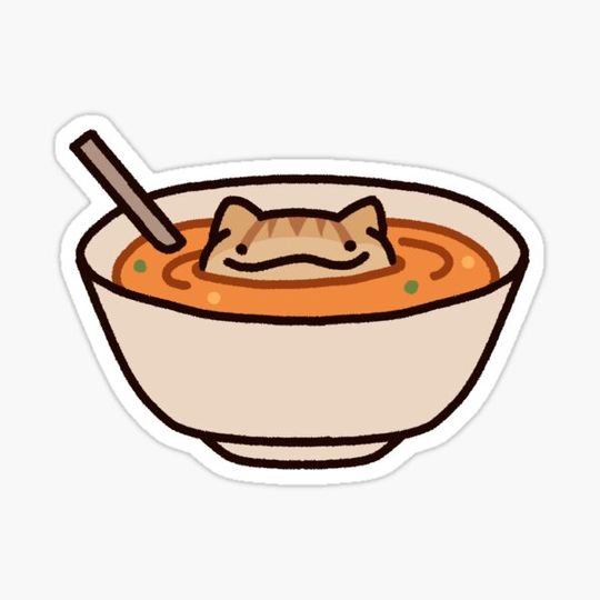 Discover SOUP