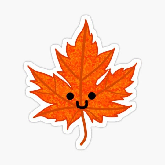 Discover Cute Maple Leaf