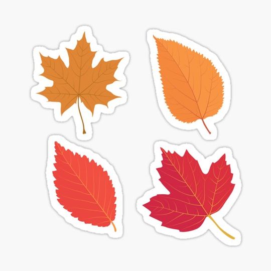 Discover Fall Autumn Color Leaves Sticker Pack