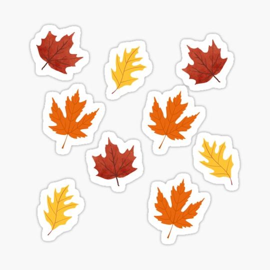 Discover Fall Leaves 9 Pack