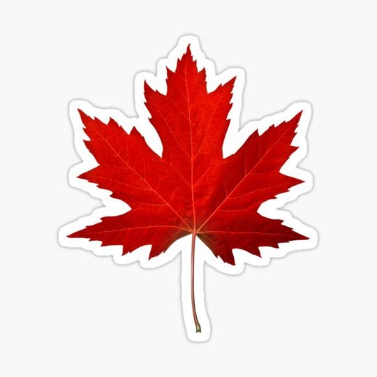 Discover Canadian Maple Leaf