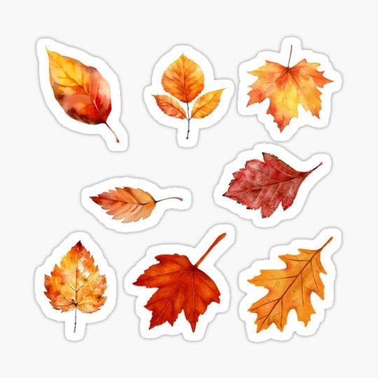 Discover Multi Autumn Leaf Pack
