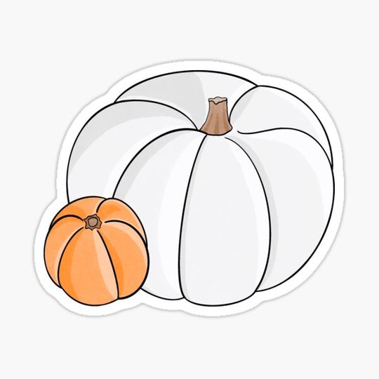 Discover Orange and White Pumpkins