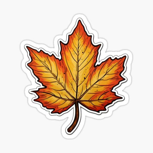 Discover Beautiful maple leaf