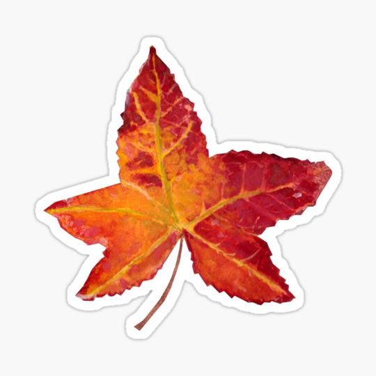 Discover Beautiful Fall Leaf