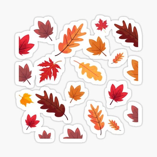 Discover fall leaves