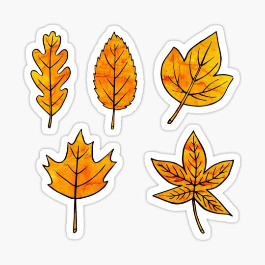 Discover Yellow Leaves