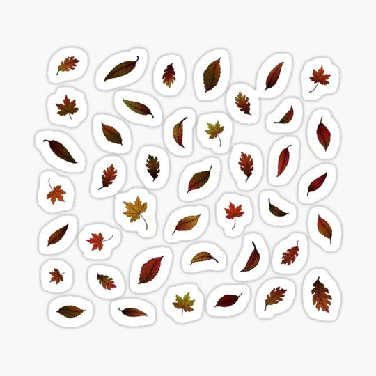 Discover Leaf mix - autumn - Pattern