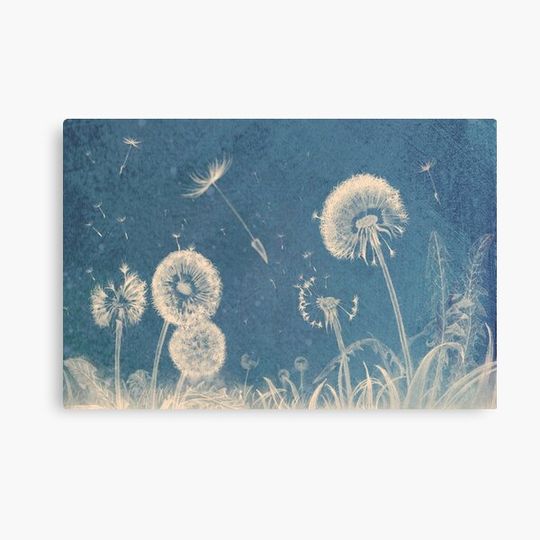 Discover Dandelion Clocks