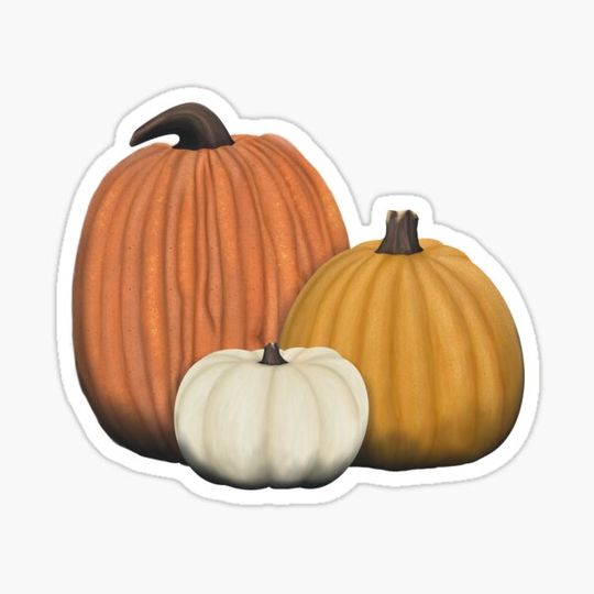 Discover Pumpkin Trio