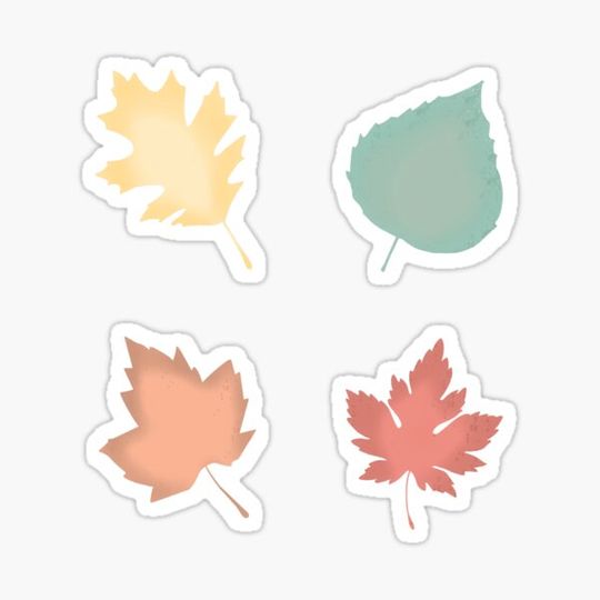 Discover Autumn leaves
