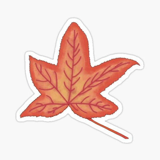 Discover Fall Leaf