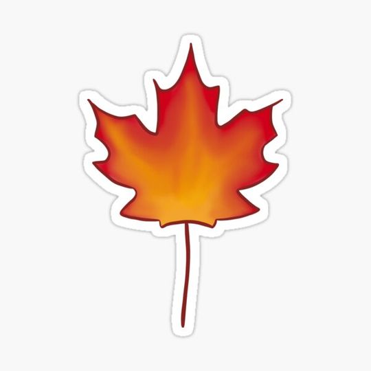 Discover Red Maple Leaf
