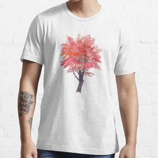 Discover Cherry Blossom | Sakura | Pink Blossoms