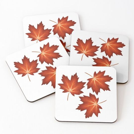 Discover Autumn Maple Leaves