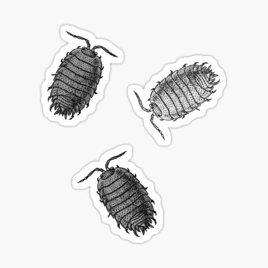 Discover B&W Isopods