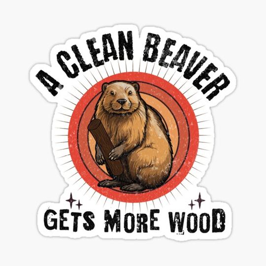 Discover Clean Beaver