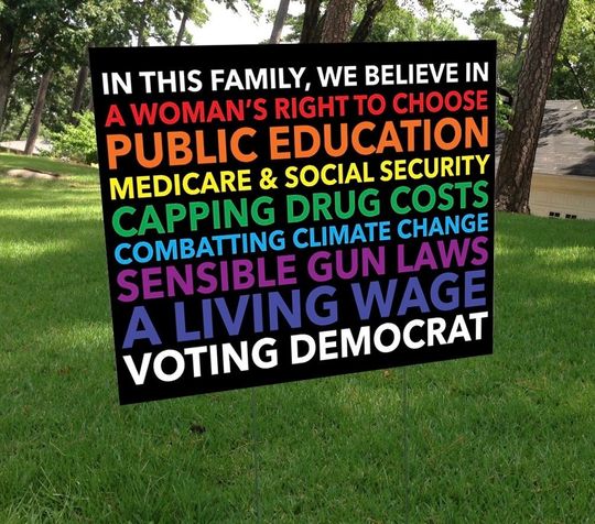 Discover Democrat In This House Woman yard sign