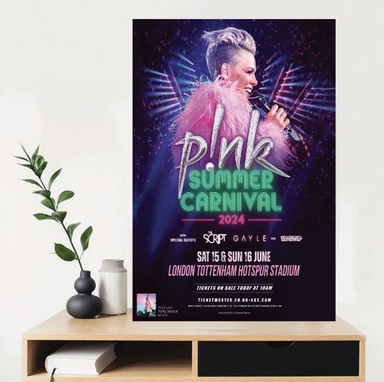 Discover Pink Summer Tour 2024 Poster