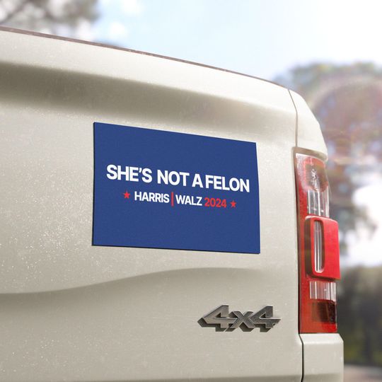 Discover She's not a felon Car Magnet