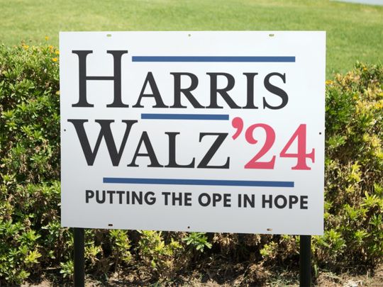 Discover Harris Walz 2024 Yard Sign 22"X15", OPE in Hope, Minnesota