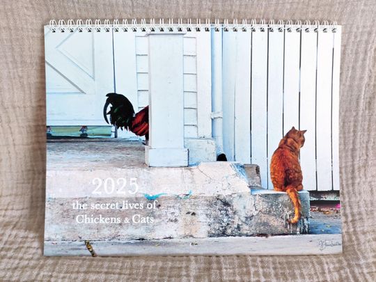 Discover 2025 Cat & Chicken Wall Calendar Featuring Rooster Art