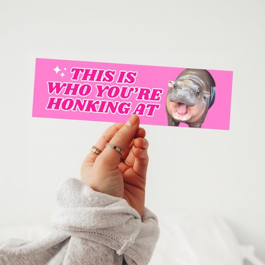 Discover Moo Deng This is Who You're Honking At Bumper Sticker | meme bumper sticker