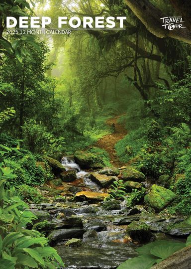 Discover Deep Forest 2025 Calendar