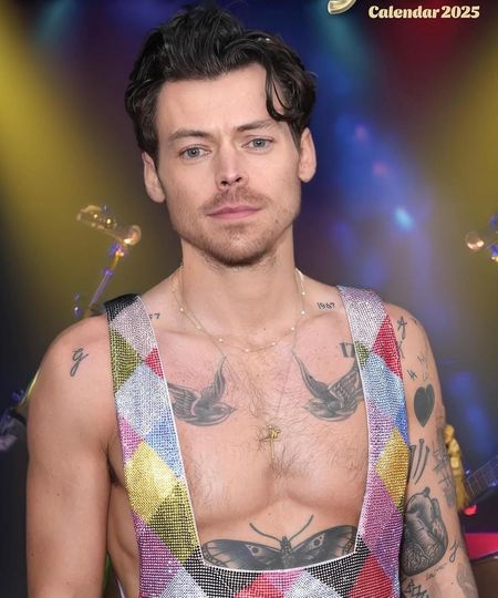 Discover Harry 2025 Calendar