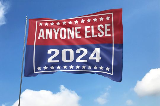 Discover Anyone Else 2024 House Flag