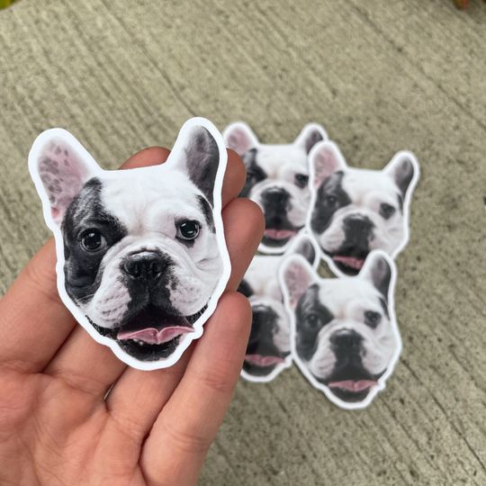 Discover Christmas Stocking Stuffer - Sticker of Family Pet