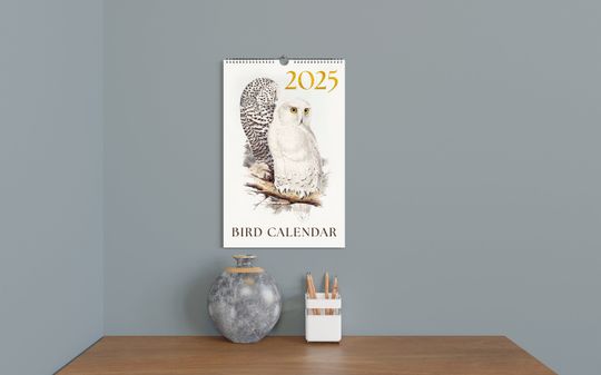 Discover 12 Months Wall Calendar 2025 Birds Paintings Christmas Gift Idea Nature Inspired Wildlife Present Home & Office Decor